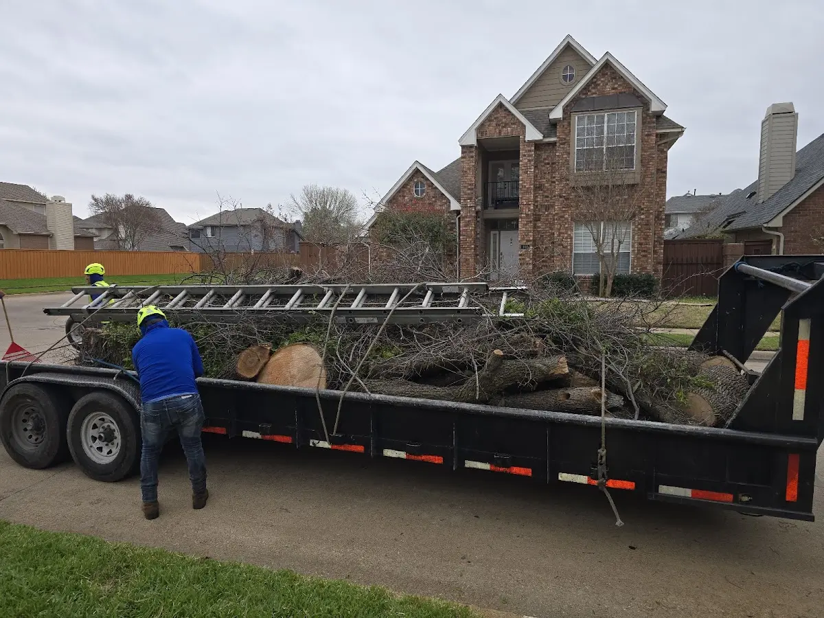 Expert Tree Fertilization with proper safety equipment in Poth
